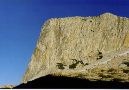 b7.jpg