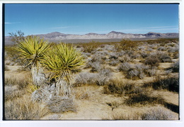 JT_agfa06.jpg