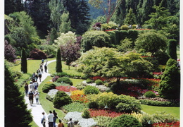 Butchart Gardens