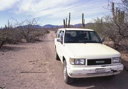 Trooper in the Baja desert