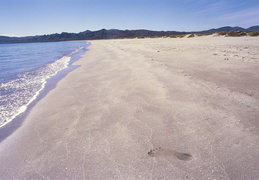 deserted baja beach