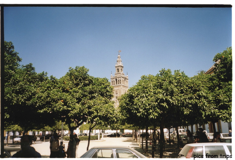 seville02.jpg