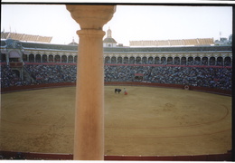 Bullfighting