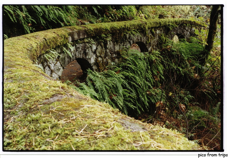 columbia_gorge06.jpg