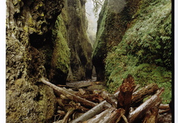 Columbia River Gorge