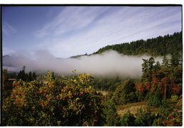 Driving through the Trinity Alps to Oregon