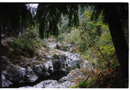 Driving through the Trinity Alps to Oregon