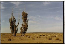 Eastern Oregon