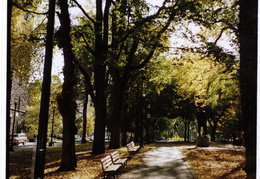 City park, Portland