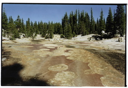 dried up river