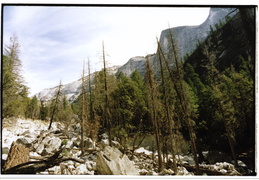 creek fields, Tenaya Canyon