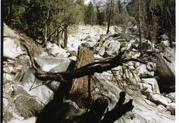 creek fields, Tenaya Canyon