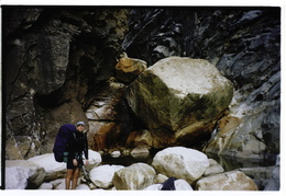 Tenaya Canyon