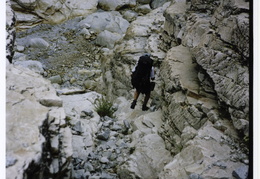 Tenaya Canyon