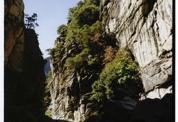 Tenaya Canyon