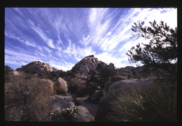 Joshua Tree National Park