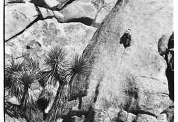 rock climbing Joshua Tree