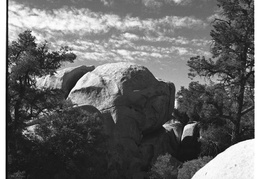 Joshua Tree National Park