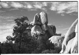 Joshua Tree National Park