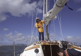 sailing San Francisco bay