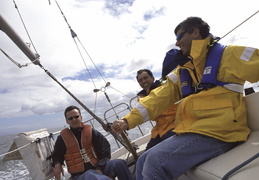 sailing San Francisco bay