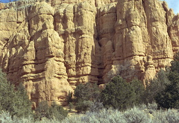 Red Canyon