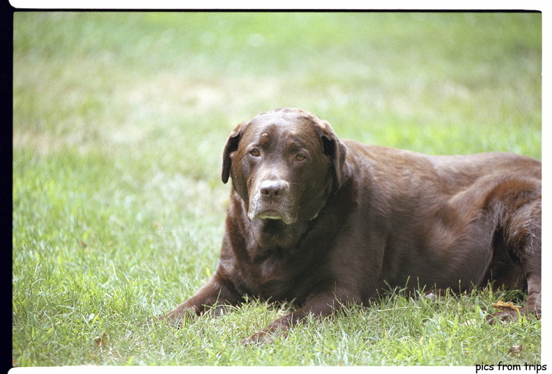 barney-july02.jpg