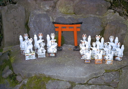 temple bunnies
