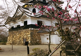 Hikone-jo castle