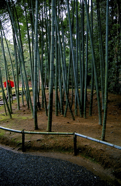 c2003s2605.jpg