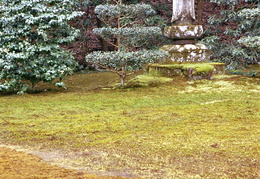 Sanzen-in temple