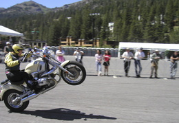 Even a Boxer cruiser wheelie