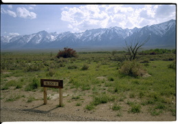 Views from Manzanar