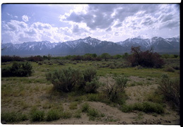 Views from Manzanar