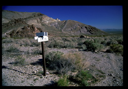 Rhyolite