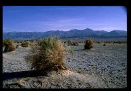 views of the mountains from Death Valley