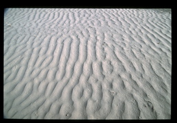 Sand Dunes