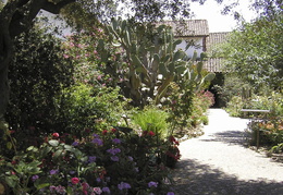 Mission gardens