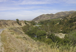 Bridge in Central California