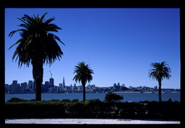 San Francisco from Treasure Island