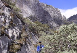 Karl on the use trail