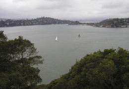 view of Tiburon from Angel Island