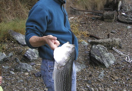 Earl with his catch