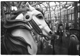 carousel horses