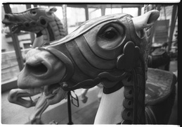 carousel horses