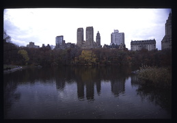 Central Park