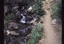 Pike National Forest