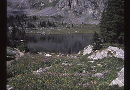 Pike National Forest