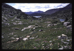 Pike National Forest