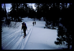 the ski in to the hut